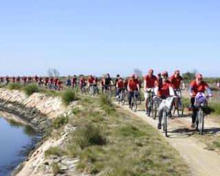 Murtosa: Passeio Primavera Ciclável agendado para este domingo.