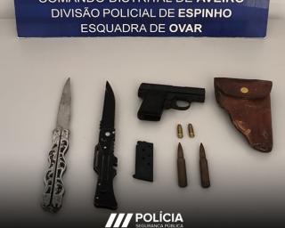 psp apreende armas em processo por violencia domestica