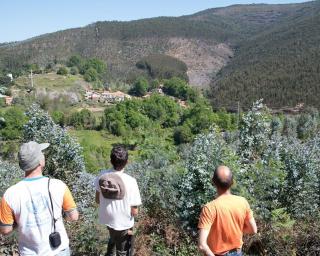 Quercus lamenta que a prevenção e a fiscalização da floresta “continuem a ser praticamente inexistentes.