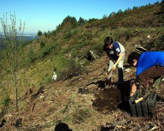 Quercus quer melhorar pegada ecológica dos festivais de Verão.