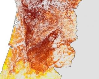 Investigadores desenvolvem mapa de risco de erosão do solo após incêndio.