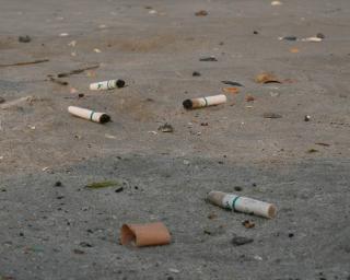 'Caça à Beata na Praia da Barra' é já este sábado (10h00).