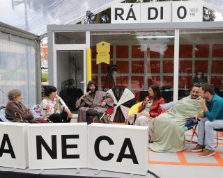 Joana Espadinha, Hugo van der Ding e Rui Miguel Abreu no cartaz do Festival Rádio Faneca 