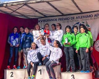 Atletismo: Recreio de Águeda domina distrital de estrada.