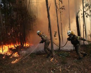 Última Hora: Fogo em Albergaria combatido por perto de 100 Bombeiros.