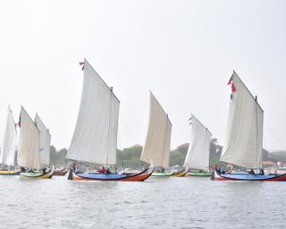 marco silva vence regata de moliceiros