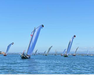 José Rito vence regata de moliceiros