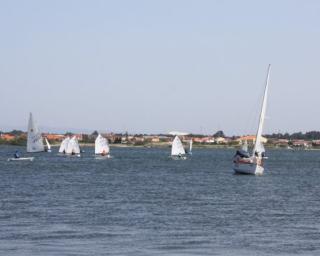 CNBB com bons resultados na Regata de Santa Joana (Aveiro).