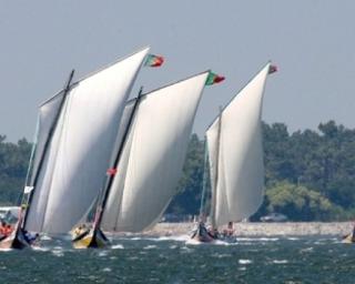 Regata de Moliceiros é bandeira no Ria de Aveiro Weekend.