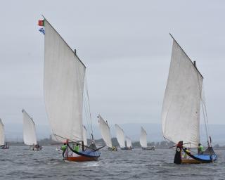 Música esta sexta e regata de moliceiros no sábado no Ria de Aveiro Weekend.