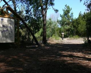 Aveiro: Autarquia apresenta protesto pelo encerramento da Reserva a visitas.