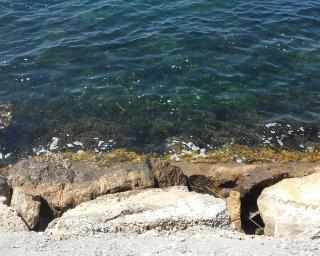 Pesca interdita aos fins de semana em águas interiores.