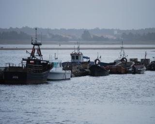 Ílhavo: PS diz que autarquia tem sido negligente na gestão do cais de pescadores da Costa Nova. Maioria defende operação como obra complementar.