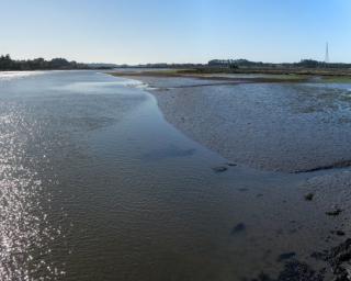 Albergaria e Murtosa em sintonia com Amigos da Ria.