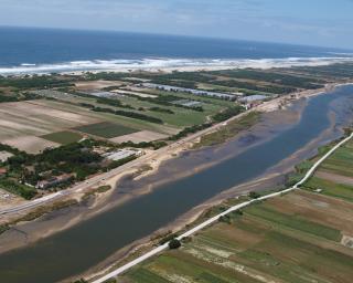 BE quer a Ria de Aveiro no Roteiro para a Neutralidade Carbónica 2050.