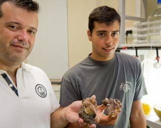  UA desenvolve método inovador que permite quantificar capacitação científica na área do mar.