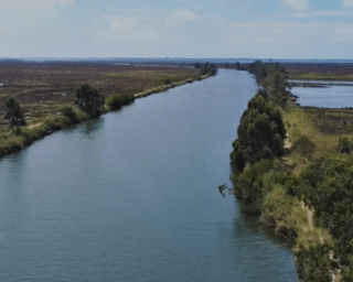 Zero pede atualização do estudo de impacte ambiental para novo açude no Rio Vouga.