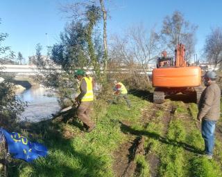 Águeda: Autarquia assegura limpeza e reflorestação das margens dos rios Águeda e Alfusqueiro.