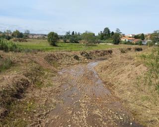 Anadia: Rio Cértima e Rio da Serra em limpeza. 