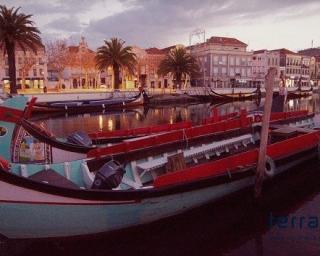 Aveiro: O mercado quis valorizar os lugares para moliceiros - Ribau Esteves.
