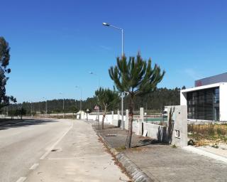Município de Anadia aliena lotes na Zona Industrial de Vilarinho do Bairro.