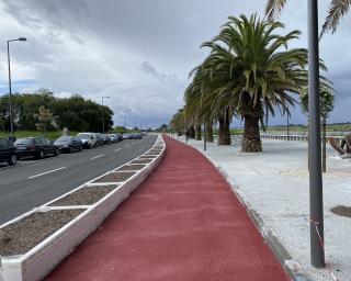 Aveiro: Autarquia quer manter perfil da Rua da Pega até Verdemilho.