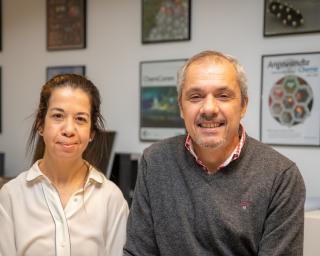 Investigadores da UA publicam na Science descoberta sobre molécula com ação combinada magnetismo/eletricidade à temperatura ambiente.