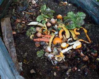 Projeto de compostagem doméstica, Sem Sobras desenvolvido com o apoio da Câmara de Aveiro.