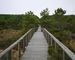 Acampamento Municipal de Escuteiros de Aveiro repete presença em São Jacinto.