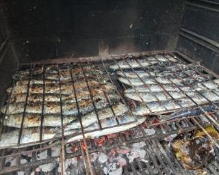 agueda apoia realizacao de festival da sardinha