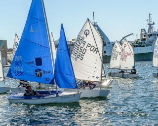 Dezenas de velejadores de vela ligeira e adaptada participaram na “Regata Santa Joana/Universidade de Aveiro”.