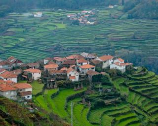 TCP: Realizadores de todo o mundo vão gravar filmes em aldeias do Centro de Portugal.