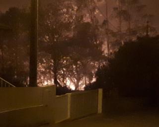 Sever: Acalmia do vento ajudou ao combate durante a noite - António Coutinho.