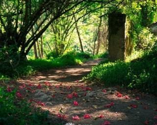 Sever: Município apresenta o projeto “Nature Storytelling.
