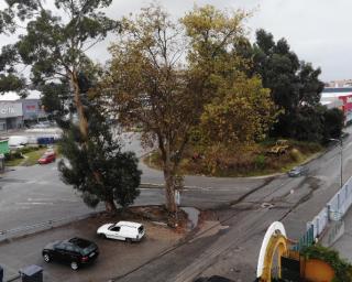 Aveiro: Expropriação de terreno garante avanço de projeto da rotunda na EN109.