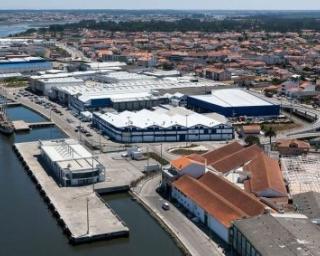 Porto de Aveiro assinala 216 anos com programa no terminal bacalhoeiro.
