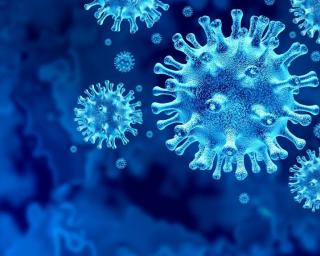 DGS: Um óbito por Covid-19 no dia em que Portugal passa os 840 mil casos de infecção.