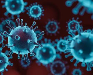 Covid-19: Novo máximo de óbitos em 24 horas - 218, (é uma morte a cada sete minutos) e há mais de 10 mil novos casos.