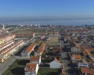 Festival de Sabores da Torreira mostra riquezas da ria.