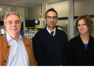 Universidade de Aveiro (UA) garante três investigadores entre os mais citados no mundo academico