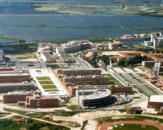 Universidade de Aveiro na segunda posição nacional de produção científica no indicador “Nature”.