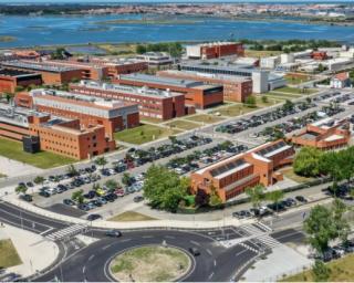 UA abre inscrições para novo tipo de oferta formativa (microcredencial).