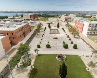 Concurso de eco-inovação alimentar apresenta edição de 2021 na Universidade de Aveiro.