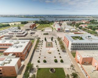  Secretária de Estado para a Cidadania e a Igualdade visita Santiago e Universidade de Aveiro.