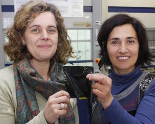 Aveiro: UA desenvolve pelicula bioplástica capaz de conduzir eletricidade para embalagem e conservação de alimentos.
