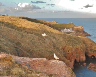  Estudo da UA identifica zonas marinhas de elevada importância para biodiversidade em Portugal.