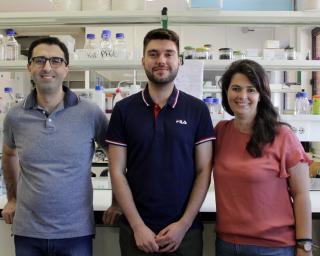 Investigadores da UA participam na descoberta de novas espécies de fungos marinhos.