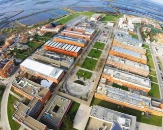 Campus da Universidade de Aveiro ganha vida com a Semana do Enterro.