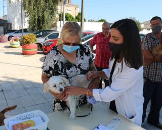 Aveiro inicia mais uma campanha de vacinação antirrábica e identificação eletrónica.