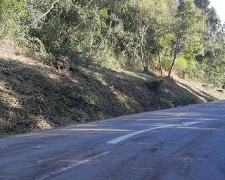 Limpeza na EN 109, entre Ílhavo e Vagos, está concluída.